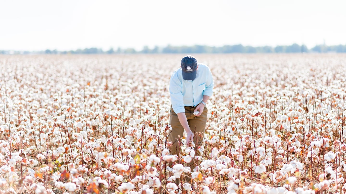 Cotton Incorporated is helping companies prepare for current sustainability regulations by supporting transparency, alternative materials and circular solutions.