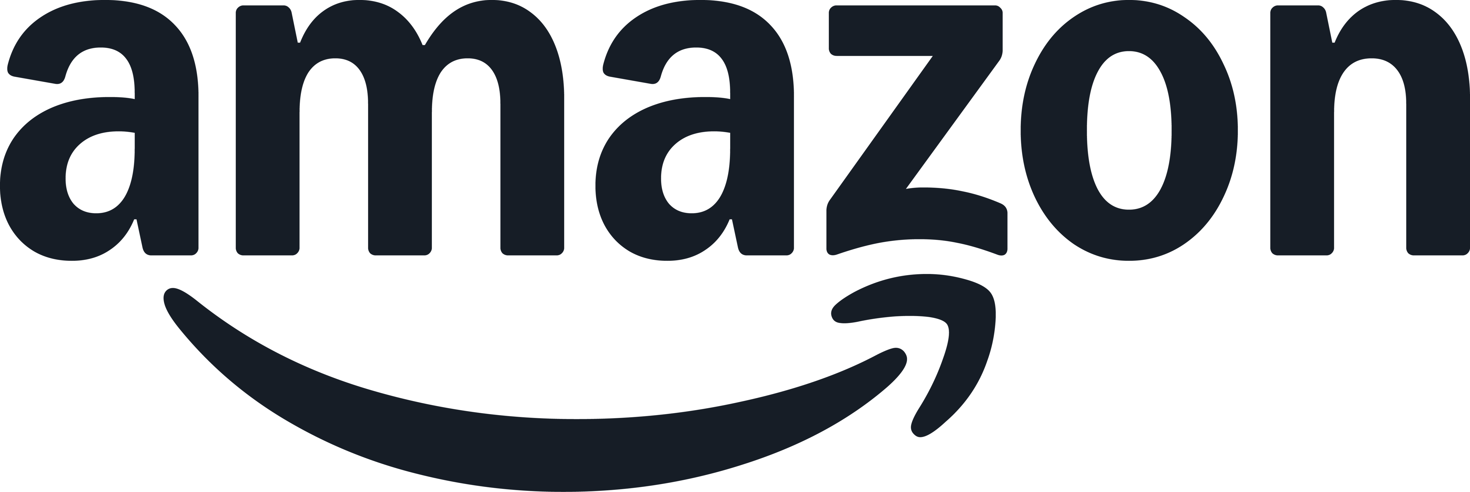 Article Sponsor